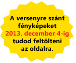 Winter Holiday Contest